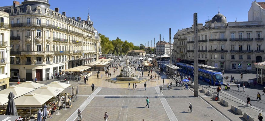 Pelouse synthétique Montpellier