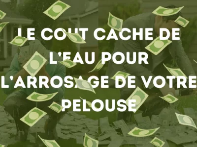 Le coût caché de l’eau pour l’arrosage de votre pelouse : Une analyse complète