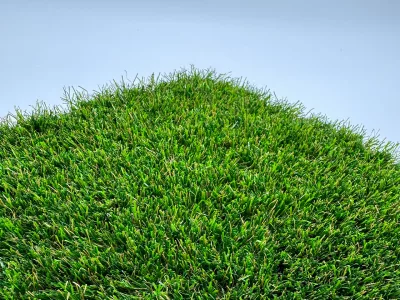 Pourquoi l’herbe pousse sur mon gazon synthétique ?
